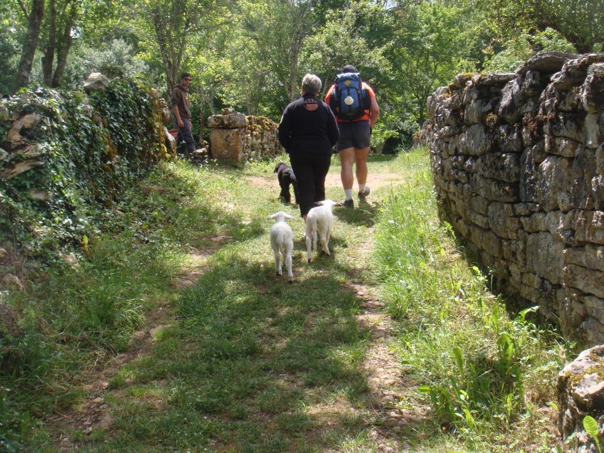 Bed and Breakfast Les Roulottes Du Lot Gramat Esterno foto